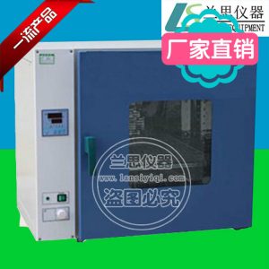 電熱鼓風(fēng)干燥箱_湖南烘箱干燥箱廠(chǎng)家供應(yīng)恒溫鼓風(fēng)干燥箱工業(yè)烘箱批發(fā)