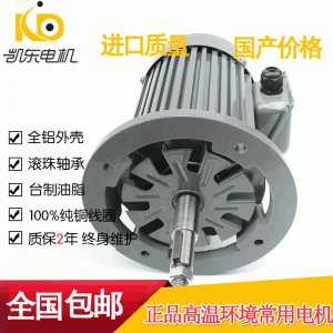 耐高溫電機(jī)_電機(jī)廠家直銷(xiāo)耐高溫電機(jī)隧道式烘干爐設(shè)備電機(jī)250度高溫